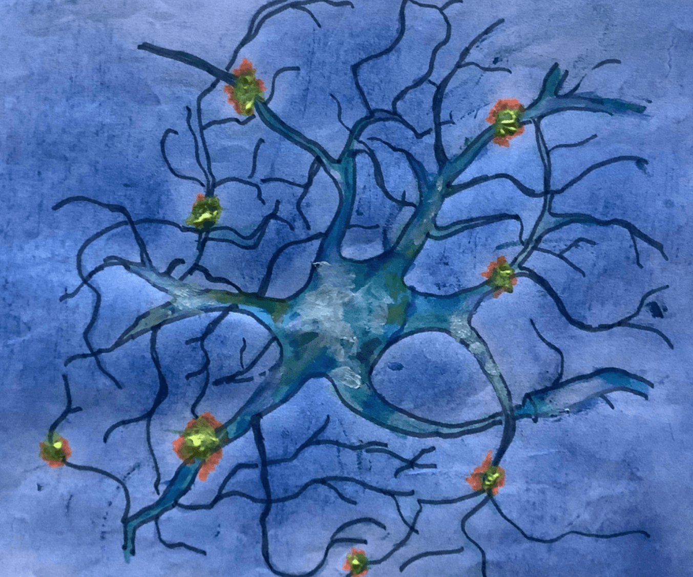 NEUROAGIL50+
